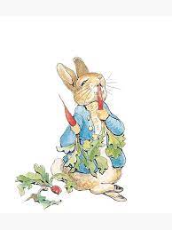 Peter Rabbit Eating Carrots Sticker By Ricke In 2021 Peter Rabbit Illustration Peter Rabbit Pictures Peter Rabbit