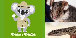 Wilbur's Wildlife visit