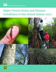 Plantations vs natural forests 2.2. Major Forest Insect And Disease Conditions In The Unites States 2017