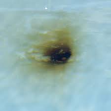 What does algae look like on pool liner? How To Identify And Remove Pool Stains