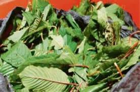 16.bsf auto works enterprise no. Tujuh Lelaki Diberkas Proses Ketum Dalam Bengkel Kereta