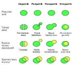 Menurut teori evolusi, makhluk hidup yang sekarang berbeda dengan makhluk hidup jaman dahulu.nenek moyang makhluk hidup sekarang yang bentuk dan strukturnya (mungkin) berbeda mengalami. Evolusi Wikipedia Bahasa Indonesia Ensiklopedia Bebas