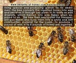 How Is Beeswax Made