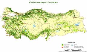 Jun 25, 2021 · kahramanmaraş'ta orman yangınları i̇ha 25 haziran 2021 cuma, 23:53 güncelleme: Turkiye Orman Varligi Haritasi