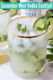 Cucumber Mint Vodka Cocktail Recipe Vodka Cocktails Mint Cocktails Cocktail Recipes Easy