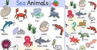 Check spelling or type a new query. Sea Animals Water Ocean Sea Animal Names With Images 7esl