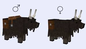 We did not find results for: Realisticlivestock Mod New Models For Vanilla Farm Animals New Ais New Breeds And New Animals Yak Turkey Minecraft Mods Minecraft Banner Designs Minecraft