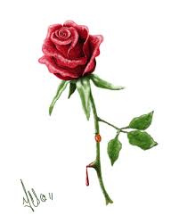 Rose Tattoo Designs Rose Tattoo Design By Twistedmentality Designs Interfaces Tattoo Rose Vine Tattoos Red Rose Tattoo Rose Tattoo Design