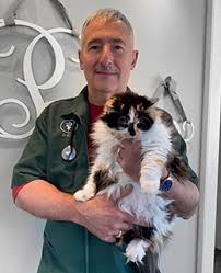 It's the newest edition of for pets sake, chock full of feline frenzy fun! Meet Glens Falls Veterinarian Dr Kyra Haring Pet S Sake Staff