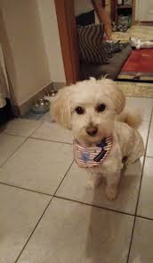 Ein herzliches Willkommen an unsere neuen Mitglieder: Diana Latzke, Natalia  Grochulska, Iwona Redecka, Christin Krause, Mela Schöner, Malloum Abba  Abba, Christin Hoffmann, Theresa Tegethoff, Andrea Meier, Christina  Denecke, Yvonne Kricke, Nina Rumpf,