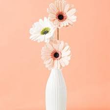 Freesvg.org offers free vector images in svg format with creative commons 0 license (public domain). Felt Gerber Daisy Svg Pattern In 2020 Felt Flowers Felt Flowers Diy Felt Flower Wedding
