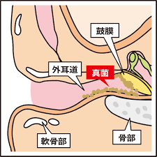 時事メディカル - 時事通信