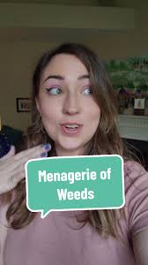 Rena (@renamac)’s videos with original sound