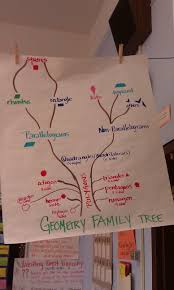 Geometry Family Tree Anchor Chart Picture Only