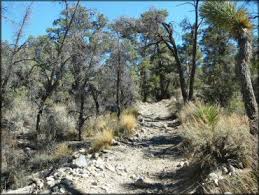 There are three trailheads that lead out from the cactus flat staging area. Big Bear Lake California Motorcycle And Atv Trails