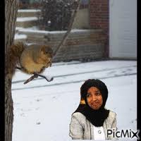 Humor and discussion around u.s. Ilhan Omar Png Picmix