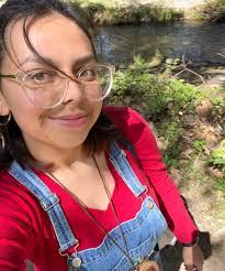 The neon diving girl sits atop the Museum of Neon Art in Glendale,  California. I'm proposing a group of us makes a trip to “retrieve” it. I am  accepting applications for team