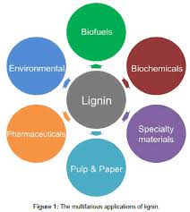 We did not find results for: A Review Of Lignin Chemistry And Its Biorefining Conversion Technologies Scitechnol