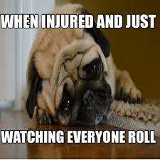 Injuries Are The Worst And One Of The Main Reasons Why People Quit Martial Arts Pugs Pugs Funny Pug Memes