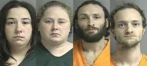 Police investigate armed break-in, find pound of marijuana