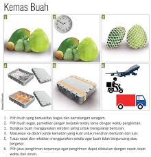 Cara Jitu Menjaga Kualitas Buah Saat Pengiriman Bibit Buahku