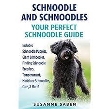 Find schnoodles puppies & dogs for sale uk at the uk's largest independent free classifieds site. Buy Schnoodle And Schnoodles Your Perfect Schnoodle Guide Includes Schnoodle Puppies Giant Schnoodles Finding Schnoodle Breeders Temperament Miniature Schnoodles Care More Paperback February 7 2017 Online In Indonesia 1911355120