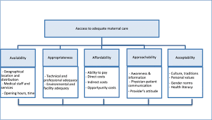 The world is developing at a frantic pace. Barriers To Access To Adequate Maternal Care Source Authors Download Scientific Diagram