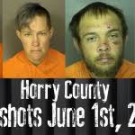 Horry County Mugshots June 1st, 2022