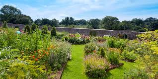 Great offers & range of flowers & plants, vegetable plants, vegetable & flower seeds & seed potatoes plus wild bird food and gardening accessories from marshalls garden. Rich Pickings 10 Of The Uk S Best Kitchen Gardens Pride Of Britain Hotels