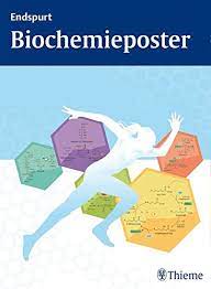 Schau dir unsere auswahl an biochemistry poster an, um die tollsten einzigartigen oder spezialgefertigten handgemachten stücke aus unseren shops für digitaldrucke zu finden. Endspurt Biochemieposter Amazon De Bucher