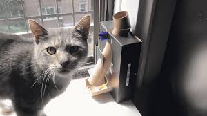 Keep reading and discover why you should have an automated cat feeder and how you can diy one with remotely available material, like water bottles! Overview Automatic Cat Treat Dispenser Adafruit Learning System