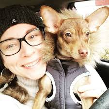 Does this dog look like a Chihuahua or a mix?