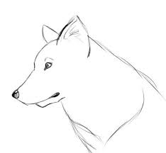 Comment Dessiner Un Loup Facile Emlyne Offredo Pint Comment Dessiner Un Loup Dessin Chien Facile Dessin Loup Facile