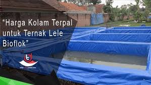 Harga Kolam Terpal Lele Siap Pakai Terbaru Kolam
