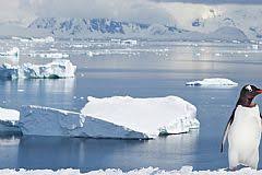 Provincia de la antártica chilena) is the southernmost and one of four provinces in chile's southernmost region, magallanes and antártica chilena region (xii). Antarctica