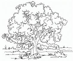 Grown up coloring sheets are in! 35 Free Tree Coloring Pages Printable