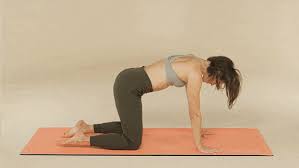 Pin On For Back Pain