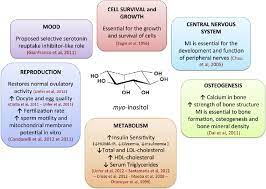 Functions And Benefits Of A Myo Inositol Diet Supplement For Human Health Download Scientific Diagram