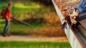 I've made many mistakes along the way that i have shared in numerous videos. Charlottesville Lawn Care Lawn Mowing Landscaping Services