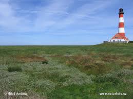 Zusammen mit dem nationalpark niedersächsisches wattenmeer, dem nationalpark hamburgisches wattenmeer und nicht dem naturschutz. National Park Schleswig Holsteinisches Wattenmeer Photos National Park Schleswig Holsteinisches Wattenmeer Images Nature Wildlife Pictures Naturephoto