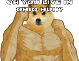 Doge eventually ascended into mlg meme status, though this was mainly due to the doge language, and e' usually isn't presented as an mlg meme without his signature doge language. 20 C H E E M S Ideas Doge Meme Doge Funny Memes