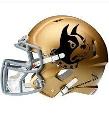Wofford Terriers College Football Helmets Football Helmets Football