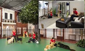 We strive to help your pets behave better, be healthier and live longer. The Top 5 Kennels In The World Dogs First Dogsfirstireland