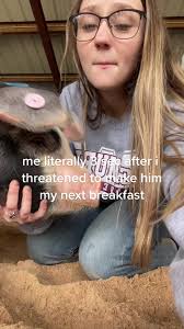 Ffa Girl Halloween Pig