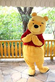 Check spelling or type a new query. Winnie The Pooh Costumes Through The Years Disney Wiki Fandom