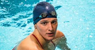 Clint Boyd (@boydpaleo.bsky.social) — Bluesky