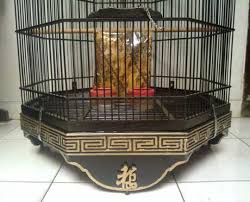 Cara membuat surat izin usaha ternyata tidak seribet yang dipikirkan oleh banyak orang. Terjual Kandang Burung Murai Segi Delapan Mbs423 Kaskus