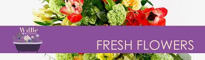 Maybe you would like to learn more about one of these? Fresh Flowers Wilbe Bloomin Kensington Market S Flower Emporium Toronto Ontario