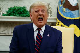 Donald Trump Meme Generator Imgflip