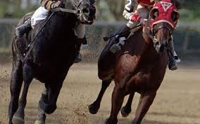Identification Lip Tattoos For Racing Horses